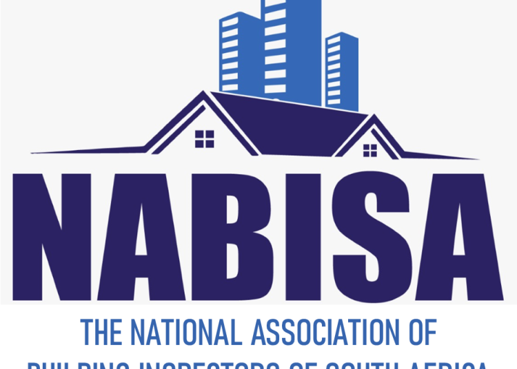 NABISA’s vision for 2024-25